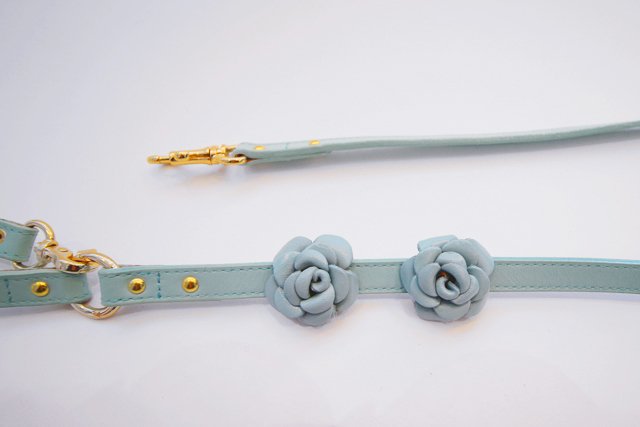 犬　首輪　リード かわいい