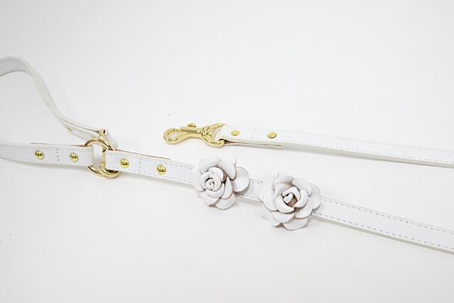 犬　首輪　リード　かわいい