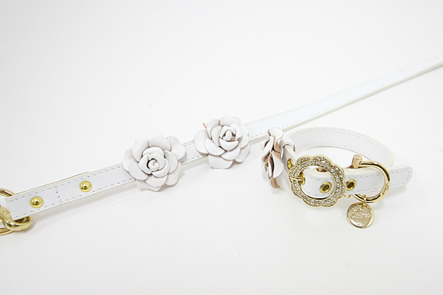 犬の首輪とリード専門店キエリーズ【kierry's】