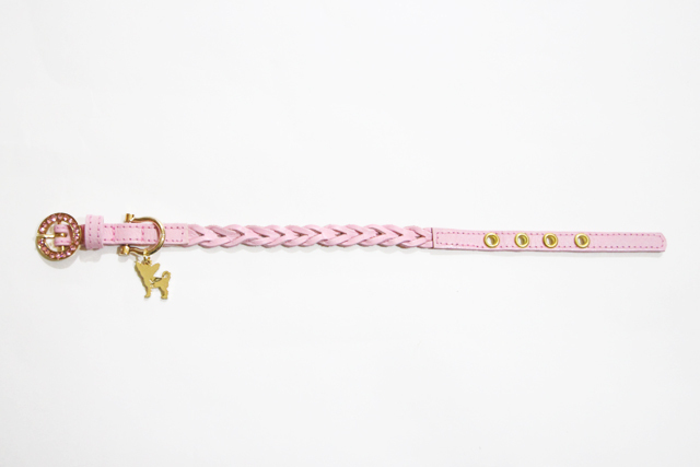 犬首輪 かわいい チワワ