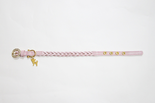 犬首輪 かわいい チワワ