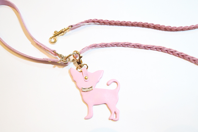 犬 リード かわいい