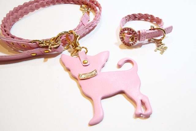 犬 リード かわいい
