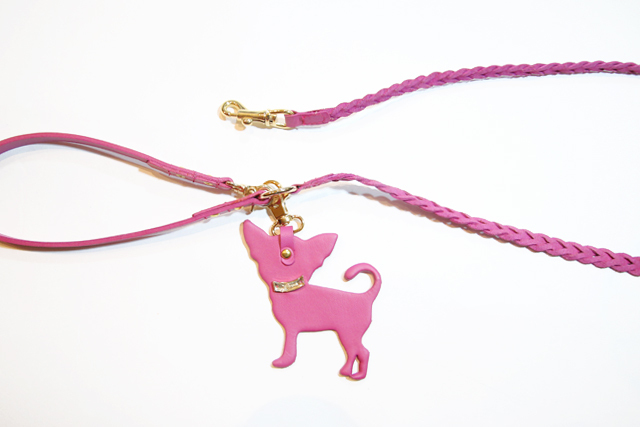 犬 リード かわいい