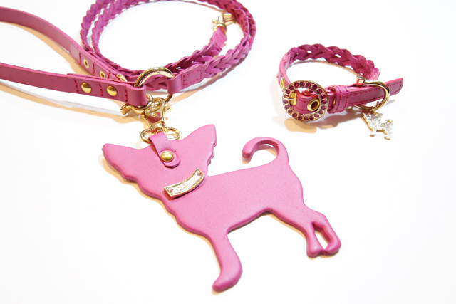 犬 リード かわいい