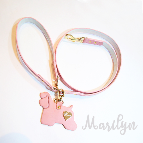 犬の首輪とリード専門店キエリーズ【kierry's】