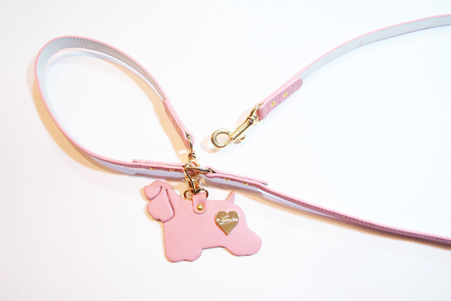 犬 リード かわいい