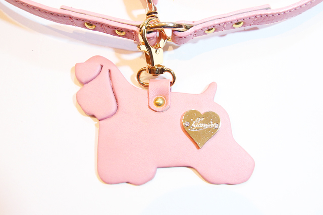 犬 リード かわいい