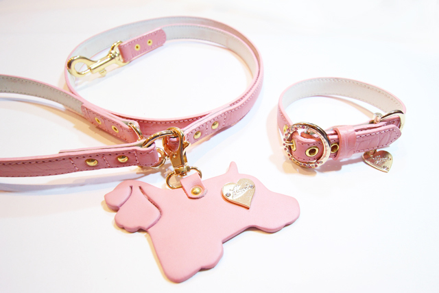 犬 リード かわいい