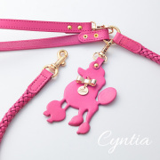 【Cyntia】リードショッキングピンク 首輪S,M用
