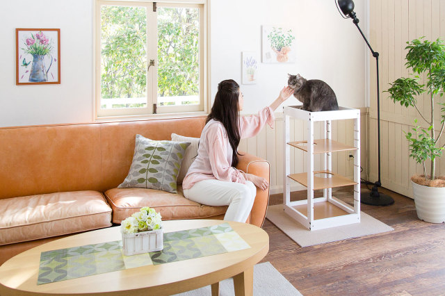 [セール] [キャットタワーパレス1棟セット] 縦や横に大きくできる木製タワー