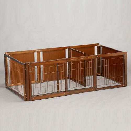 通販限定商品 Kiinus