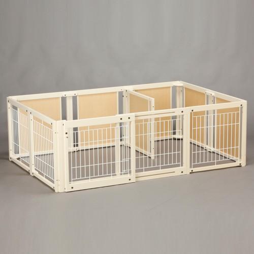 サークルプラス Kiinus