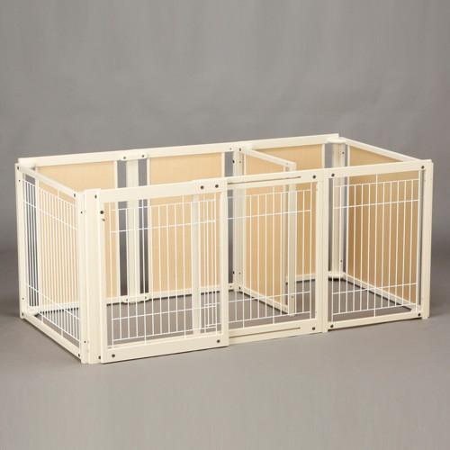 サークルプラス Kiinus