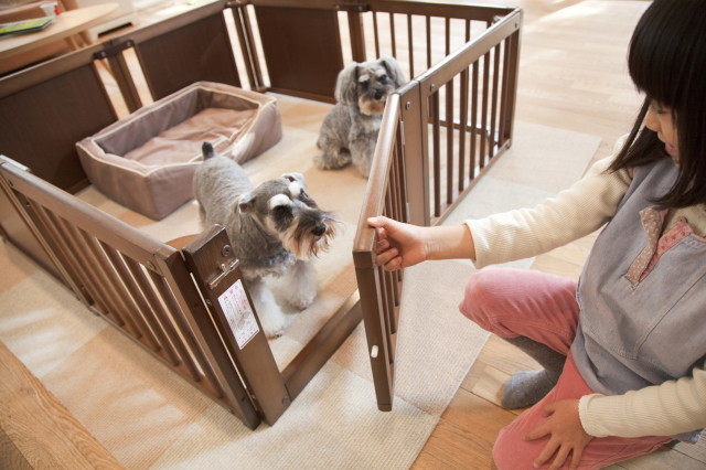 ペットサークル F 45XL Kiinus 