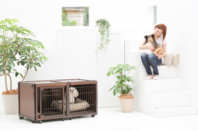 kiinus ペット ケージ ハウス AS120 オフホワイト Kiinus [ペット