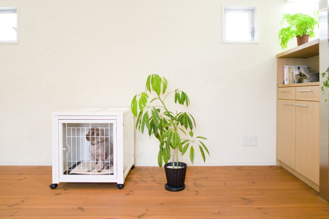 ペットケージ ハウスAS60] 小型犬用 スライド屋根付き キャスター付き