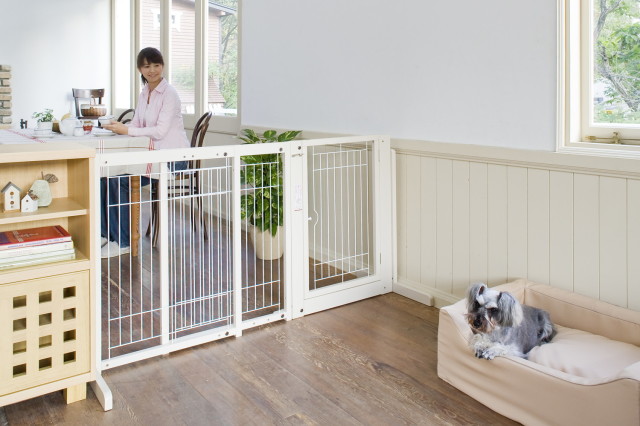 80シリーズ Kiinus