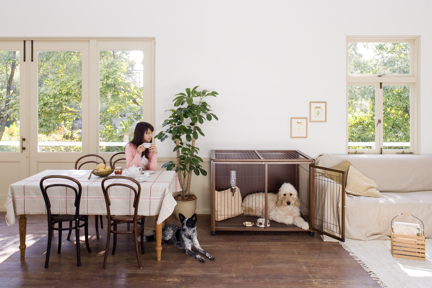 [ペットケージハウスBS-A120] 幅広く使える 大きいサイズ スタイリッシュなケージ