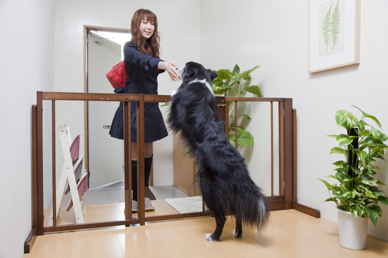 スタンドゲート F80Aアクリル] 幅調節 置くだけ ドア付き アクリル