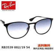 [Ray-Ban レイバン] RB3539 002/19 54 [サングラス]