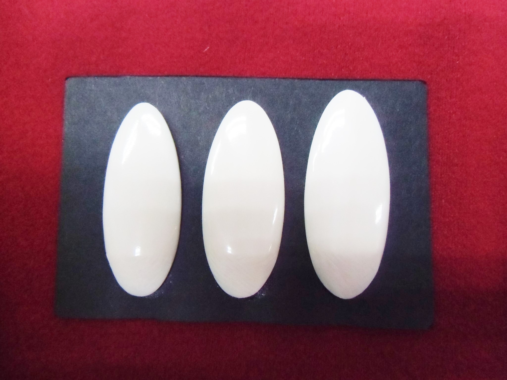 山田流　お琴用象牙爪