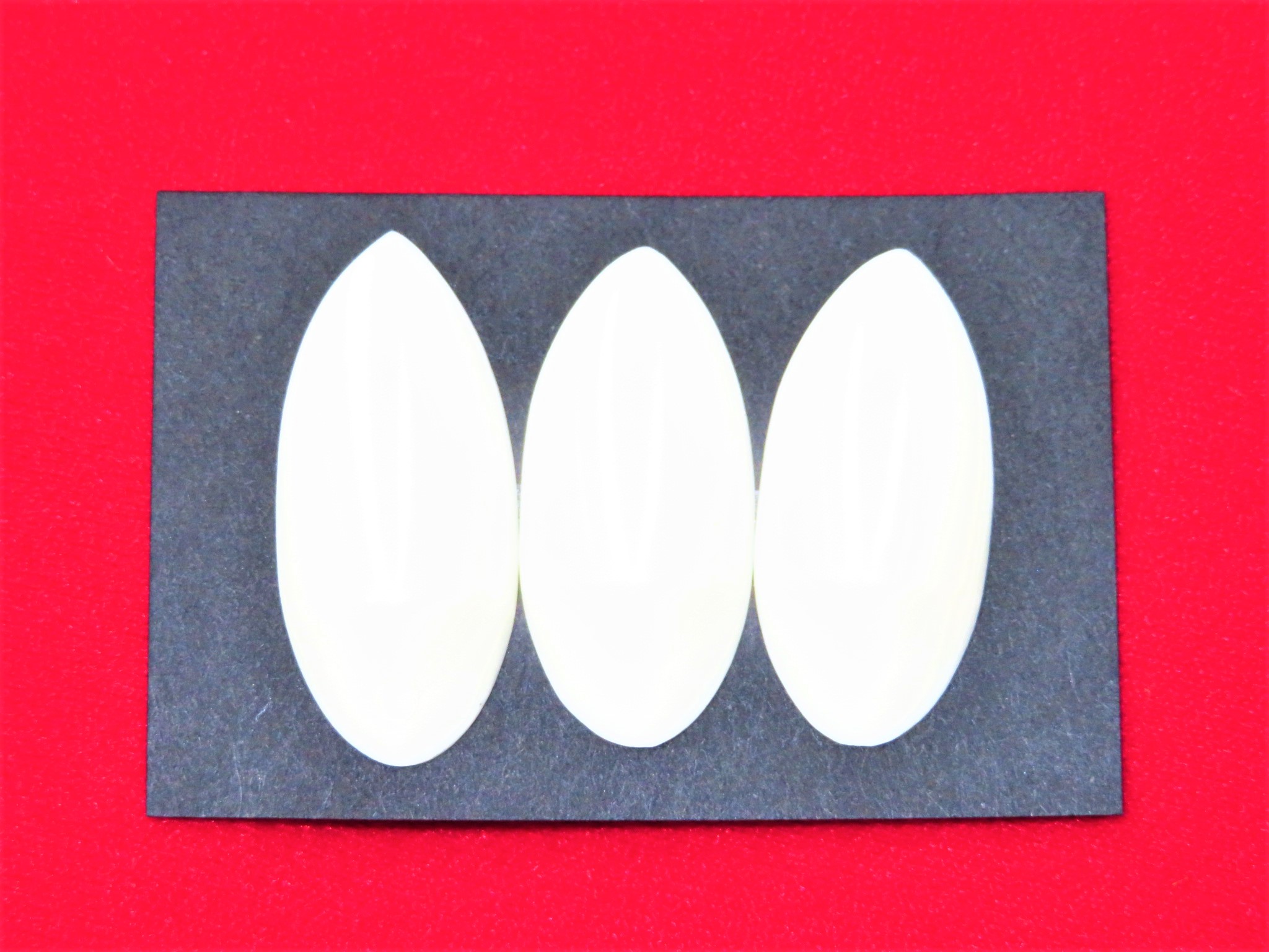 お琴用　プラスチック爪　山田