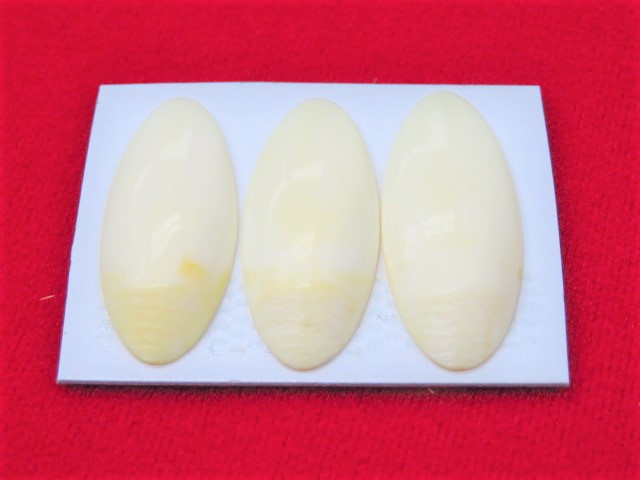 お琴用　中古　爪