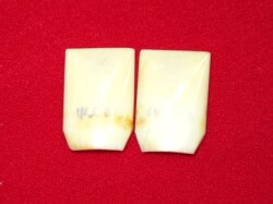 お琴用　中古象牙爪