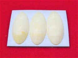 お琴用　中古　爪