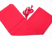 胡弓用　無地　長袋