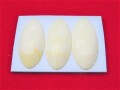 お琴用　中古　爪