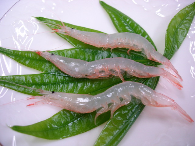 できたてポテトチップの菊水堂