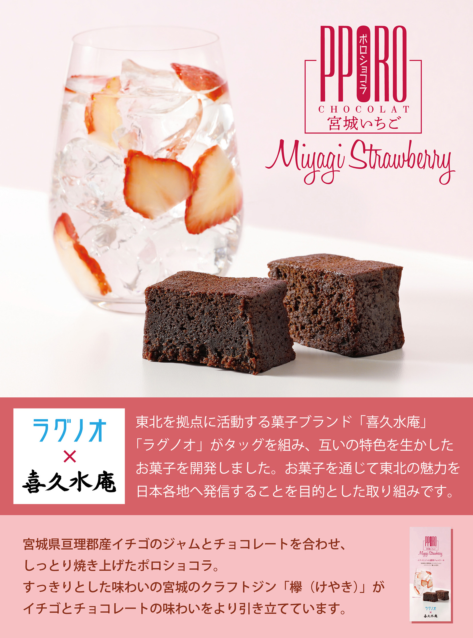 ラグノオポロショコラ 2本入 _ ラグノオ ポロショコラ ラムレーズン – PVIWA