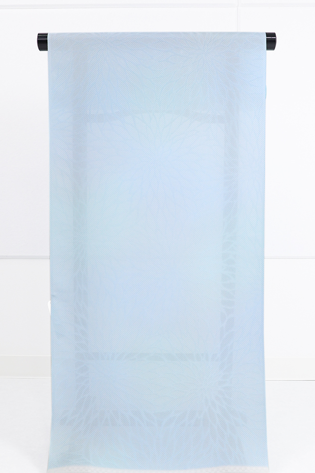 正絹 紋紗 着物 羽織  菊 水色