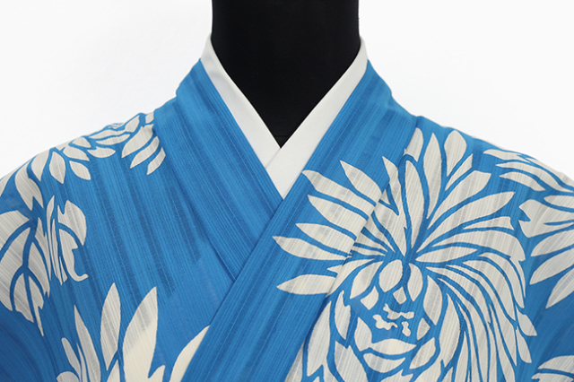 竺仙(ちくせん) 浴衣（ゆかた）綿 菊 青