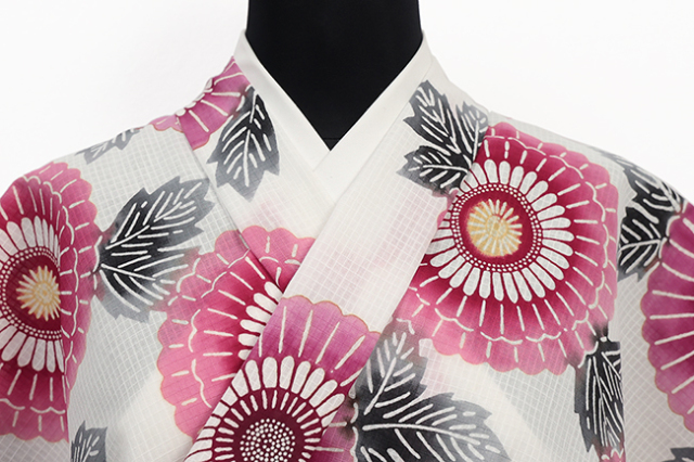 三勝 綿 浴衣(ゆかた) 綿紅梅 注染 菊 赤紫