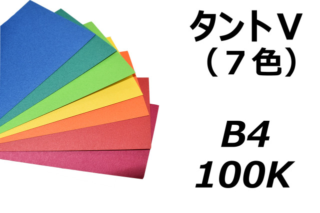 TANT-V（タントV） B4 116.3g/m2 ばら売り（8枚入り）