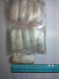 冷凍 リタイヤマウス　　　　１セット１０匹