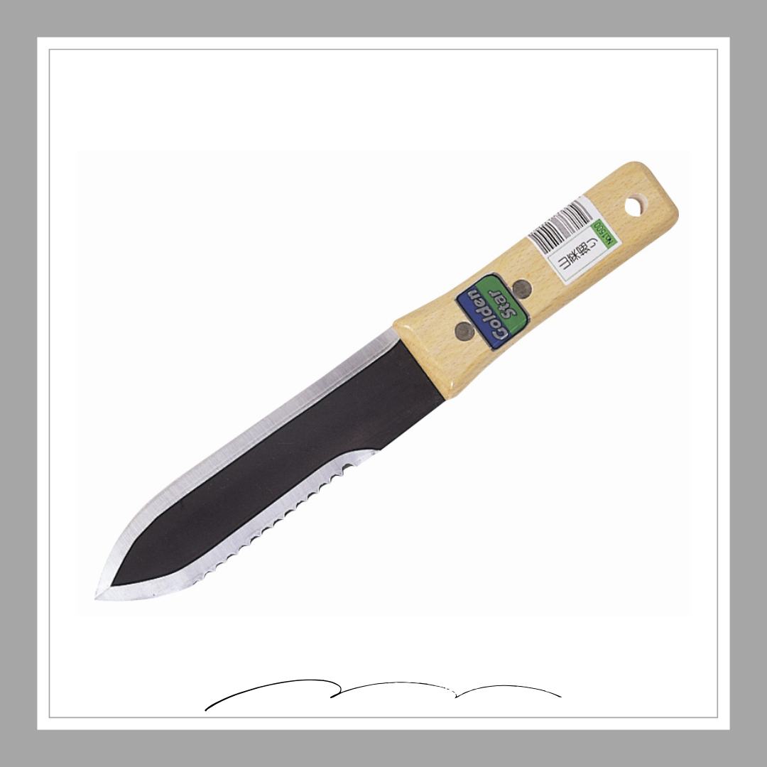 山菜堀り「1500」