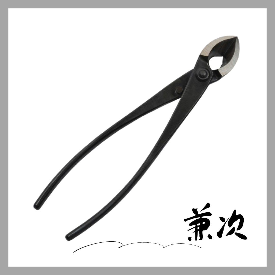 兼次鎬　又枝切鋏(大)「3511」