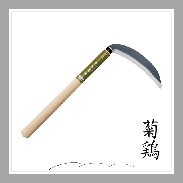 菊鶏　左用薄鎌「160503」