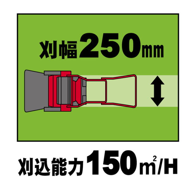 250ｍｍ巾