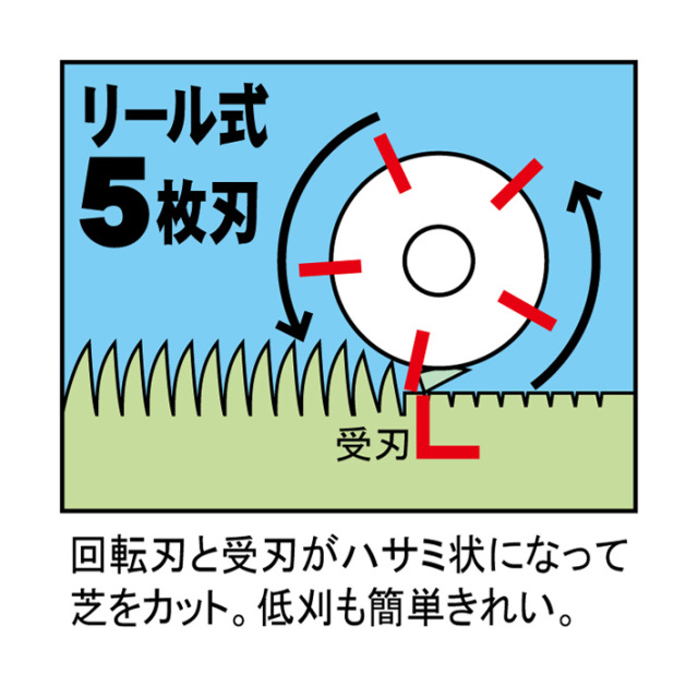 リール5枚刃