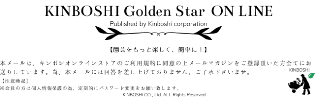MailmagazineNEWfooter
