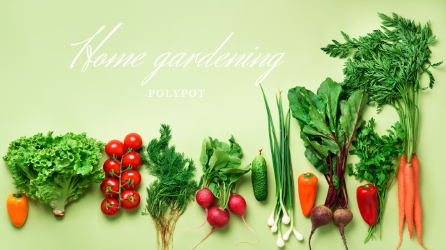 ポリポット説明1