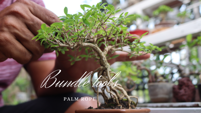 盆栽用枝引縄(茶)1mm×20m「3418」