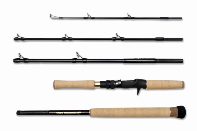 モンスターキス