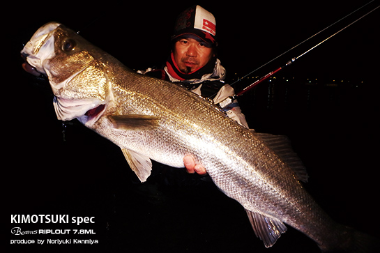 Fishman　Beams  RIPLOUT 7.8ML（ビームス リプラウト）