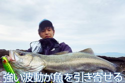 シーバスルアー・釣り具の専門店 キングフィッシャー